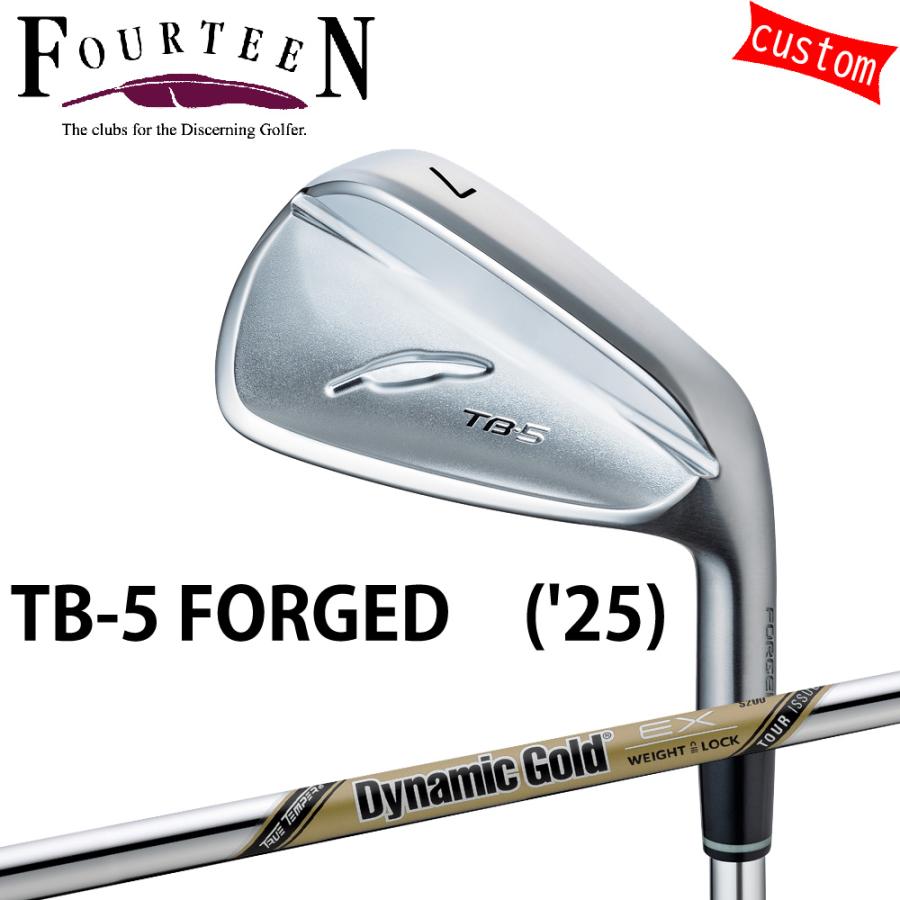 ゴルフクラブ フォーティーン 25モデル TB-5 フォージドアイアン FOURTEEN GOLF カスタム ダイナミックゴールド EX ツアーイシュー