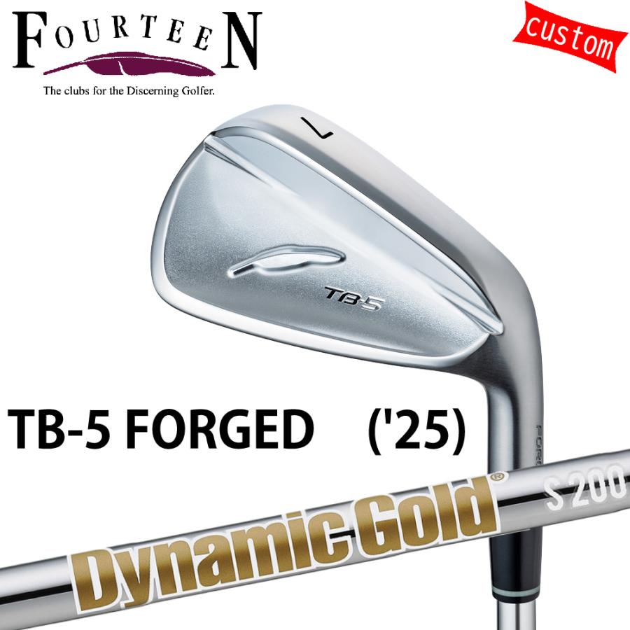 ゴルフクラブ フォーティーン 25モデル TB-5 フォージドアイアン FOURTEEN GOLF カスタム Dynamic Gold HT