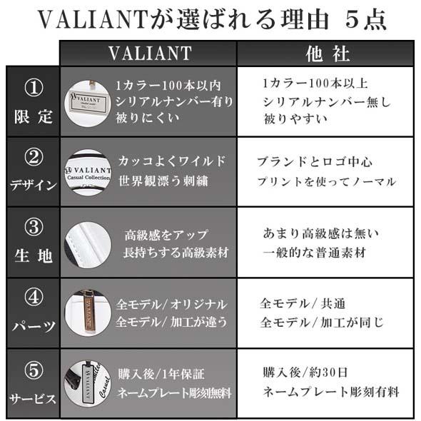 【公式ストア】2026 NEW VALIANT バリアント ゴルフ キャディバッグ VAC-002 おしゃれ かっこいい シェリフ兄弟ブランド【ネームプレート刻印無料】 | VALIANT | 14
