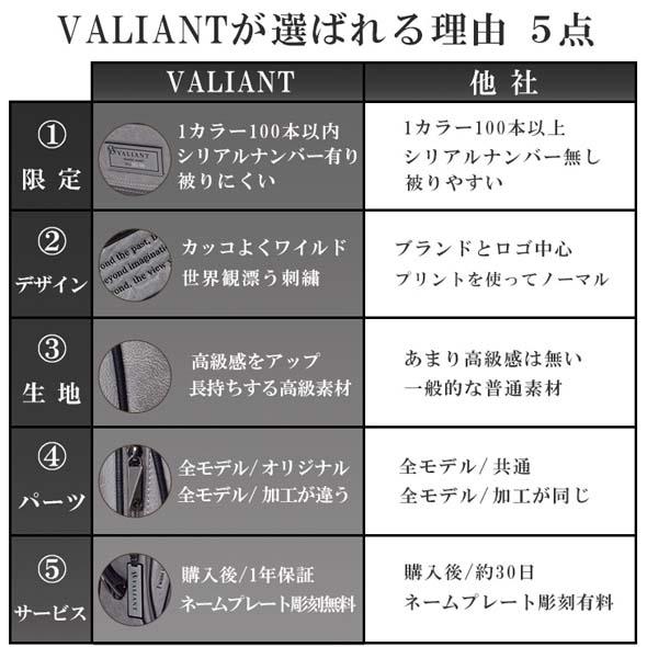 【公式ストア】2026 NEW VALIANT バリアント ゴルフ キャディバッグ VAE-005 おしゃれ かっこいい シェリフ兄弟ブランド【ネームプレート刻印無料】 | VALIANT | 14