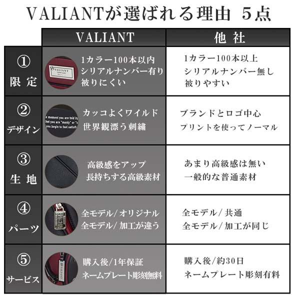 【公式ストア】2026 NEW VALIANT バリアント ゴルフ キャディバッグ VAR-001 おしゃれ かっこいい シェリフ兄弟ブランド【ネームプレート刻印無料】 | VALIANT | 14