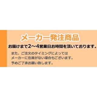 MIZUNO GOLF ミズノ ウェッジ T24 ソフトホワイトサテン仕上げ MIZUNO GOLF ミズノ ウェッジ T24 ソフトホワイトサテン仕上げ