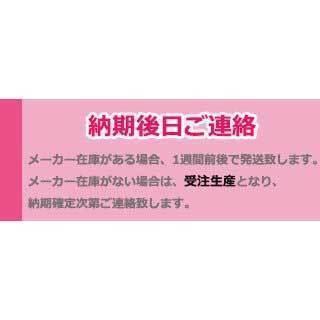 オノフ 赤 アイアン AKA 2024 特注 スチールシャフト ZELOS ゼロス 5本セット(#6-9、PW) ／ONOFF IRON AKA｜golf-season｜13