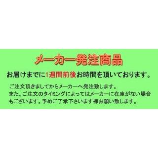 A7人気シール帳 ホンマゴルフ ツアーワールド GS アイアン 5本セット (＃6〜＃10) SPEEDTUNED 48 カーボン 本間 2021年モデル HONMA 【HOV1104510869】(38962円)