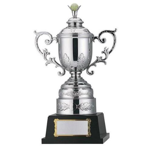 Win Win Silver ウィンシルバー真鍮製 Ls 314 Bタイプ 表彰 トロフィー カップ Morenotafurt Com