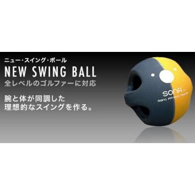 日本最大級 ヤマニゴルフ New Swing Ball ニュースイングボール Trmg Nt30 スイングボールプロ 全商品オープニング価格特別価格 Esiba Tg