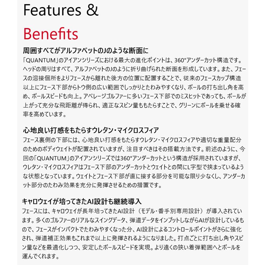 (特注 納期2-4週) キャロウェイ クアンタム(QUANTUM) MAX-FAST アイアンセット(5本 #7-9,Pw,Aw) N.S.PRO-Zelos8(ゼロス8) シャフト 2026年モデル(日_4