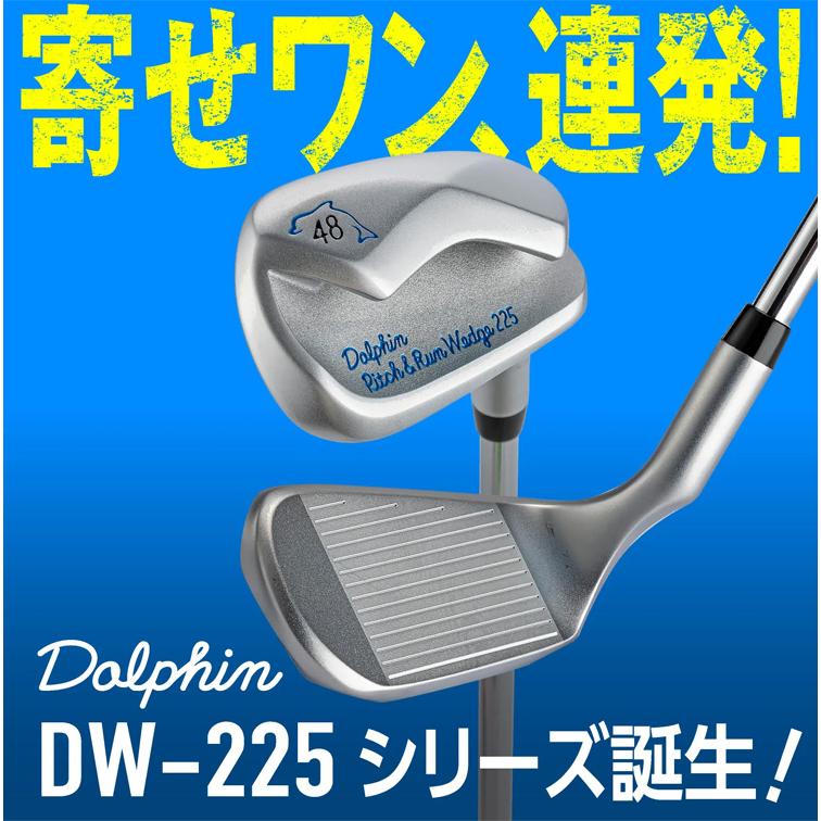 kasco（キャスコ） ドルフィンウェッジ(DOLPHIN WEDGE) DW-225 DP-251