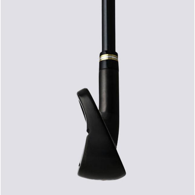 HONMA GOLF（本間ゴルフ） ベレス 09 ブラック アイアン 6本組( #6