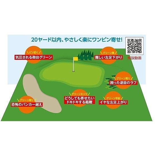 kasco（キャスコ） 「ヘッド単体」 DOLPHIN WEDGE DRW-119 39度 / DPW