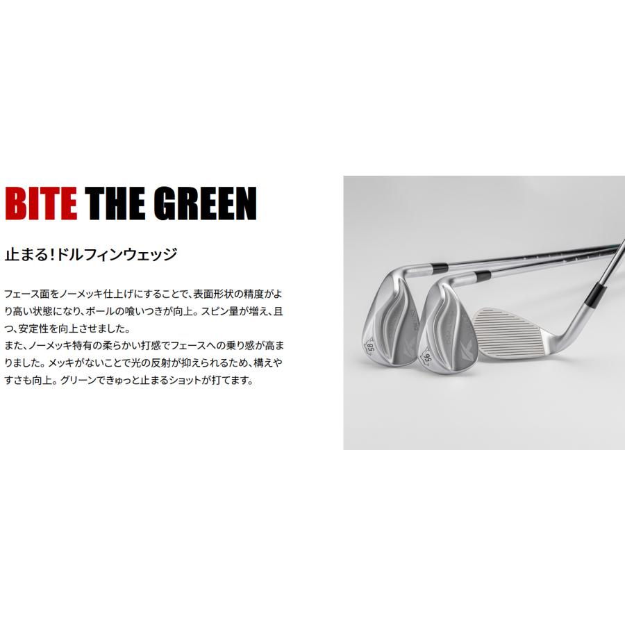 kasco（キャスコ） 「ヘッド単体」 DOLPHIN WEDGE DW-125G High Spin