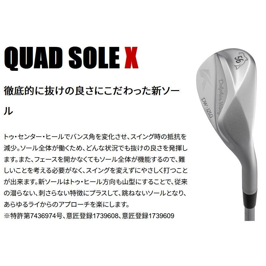 kasco（キャスコ） 「ヘッド単体」 DOLPHIN WEDGE DW-125G High Spin