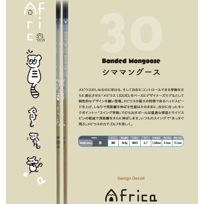 Design Tuning（デザインチューニング） DesignTuning MOBIUS Africa