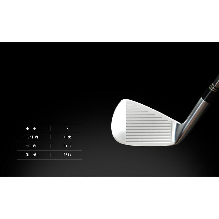 JBEAM T/20 アイアン JBEAM T/20 IRON HEAD 安心のジェイビーム工房組立 Jビーム アイアン