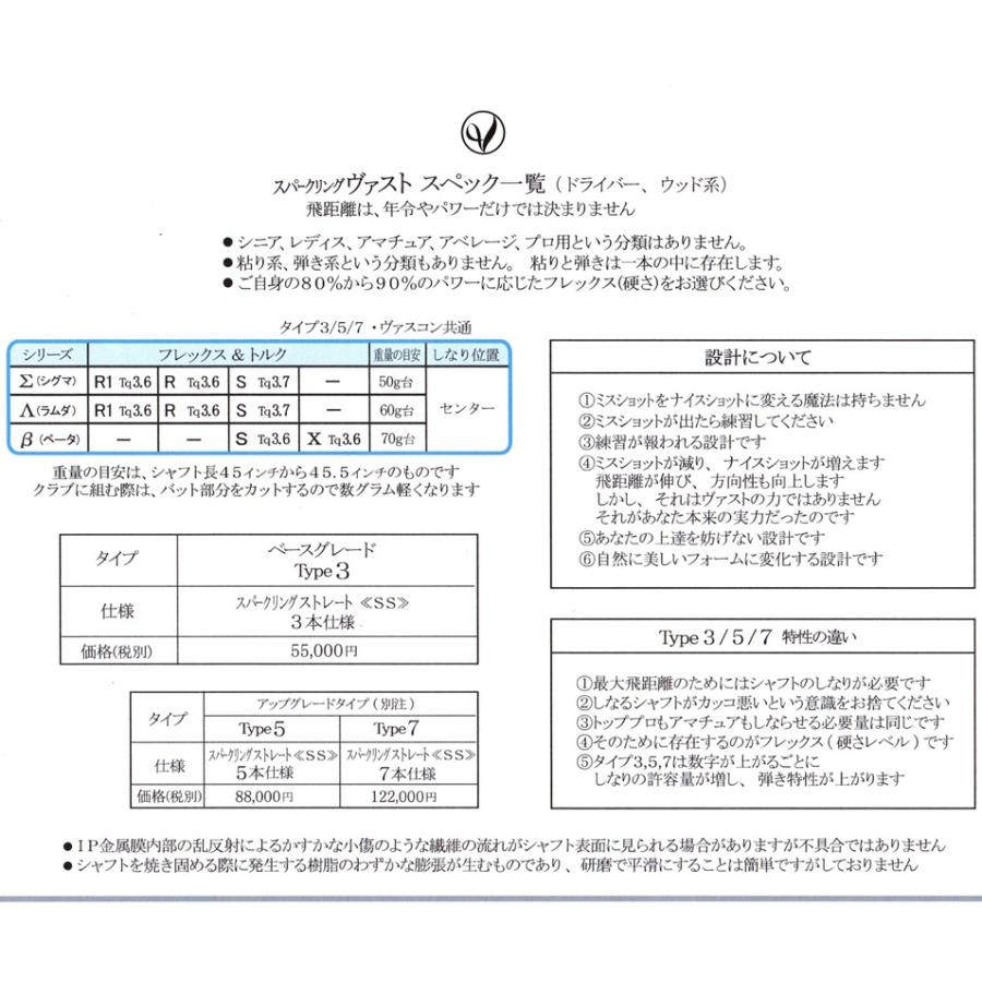 SPARKLING VRSST Type3 スパークリングストレート SS 3本仕様