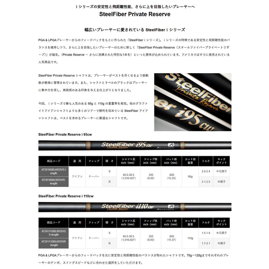 シャフト アイアン用 エアロテック スチールファイバー i シリーズ プライベートリザーブ アイアン (単品)の画像
