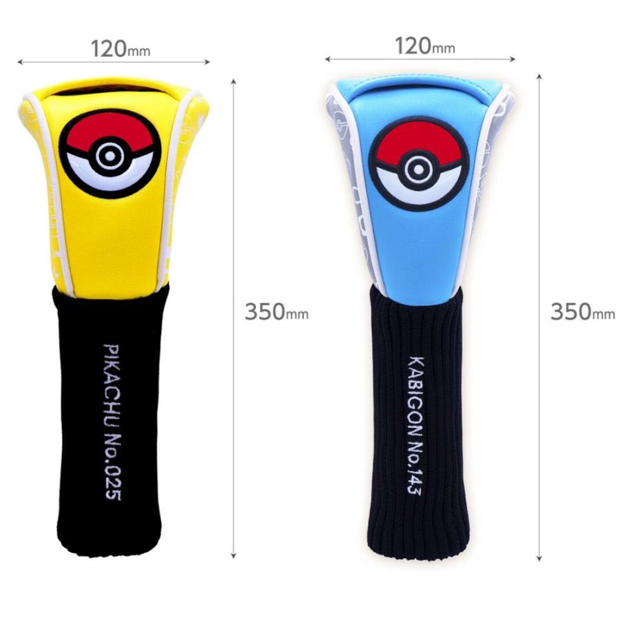 Pokemon（ポケモン） ポケットモンスター DR用 FW用 ピカチュウ