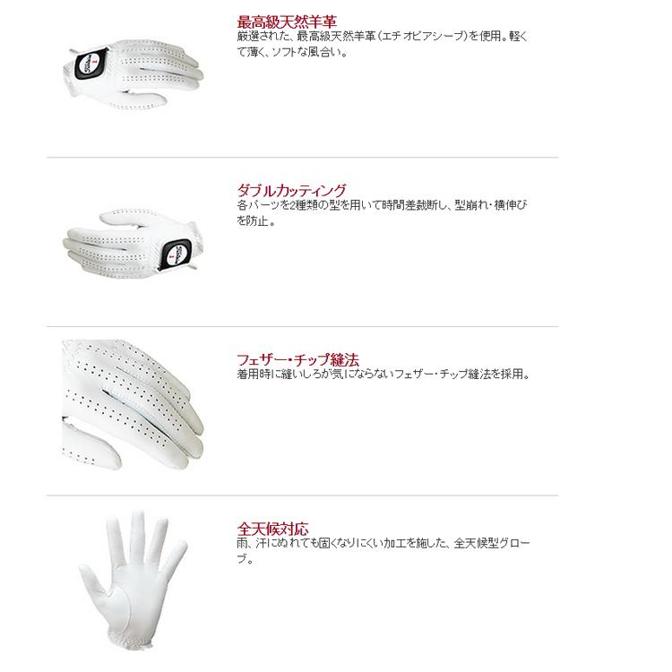 Titleist（タイトリスト） ゴルフ グローブ プロフェッショナル