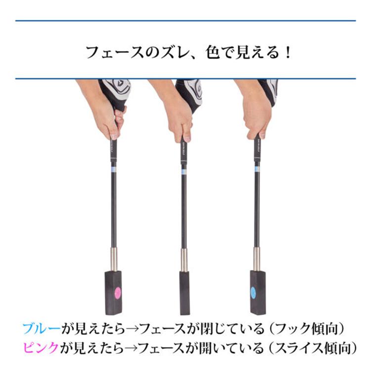 DAIYA（ゴルフ用品、日用品） ダイヤゴルフ ダイヤスイングFX