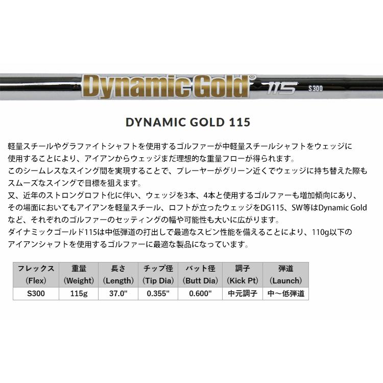 TRUE TEMPER トゥルーテンパー ダイナミックゴールド 115