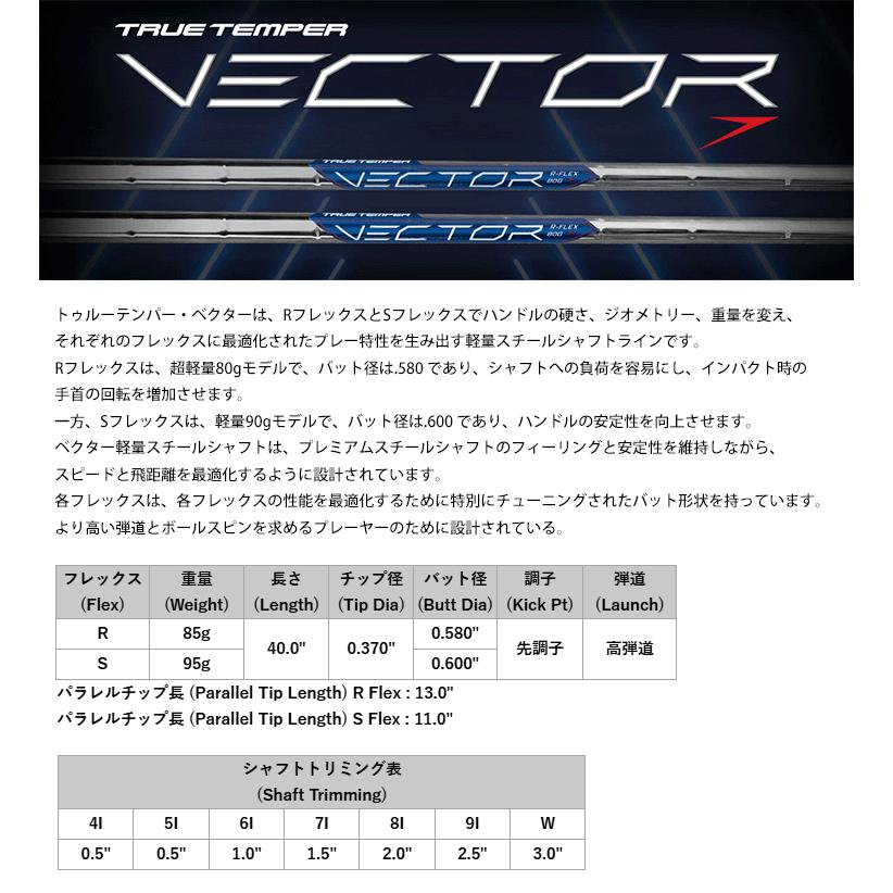 TRUE TEMPER（トゥルーテンパー） 【処分価格】シャフト アイアン用