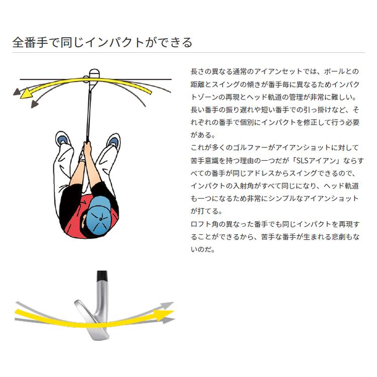 ゴルフ 完成品 クラブ アイアン ピンホーク シングルレングス 右/左打