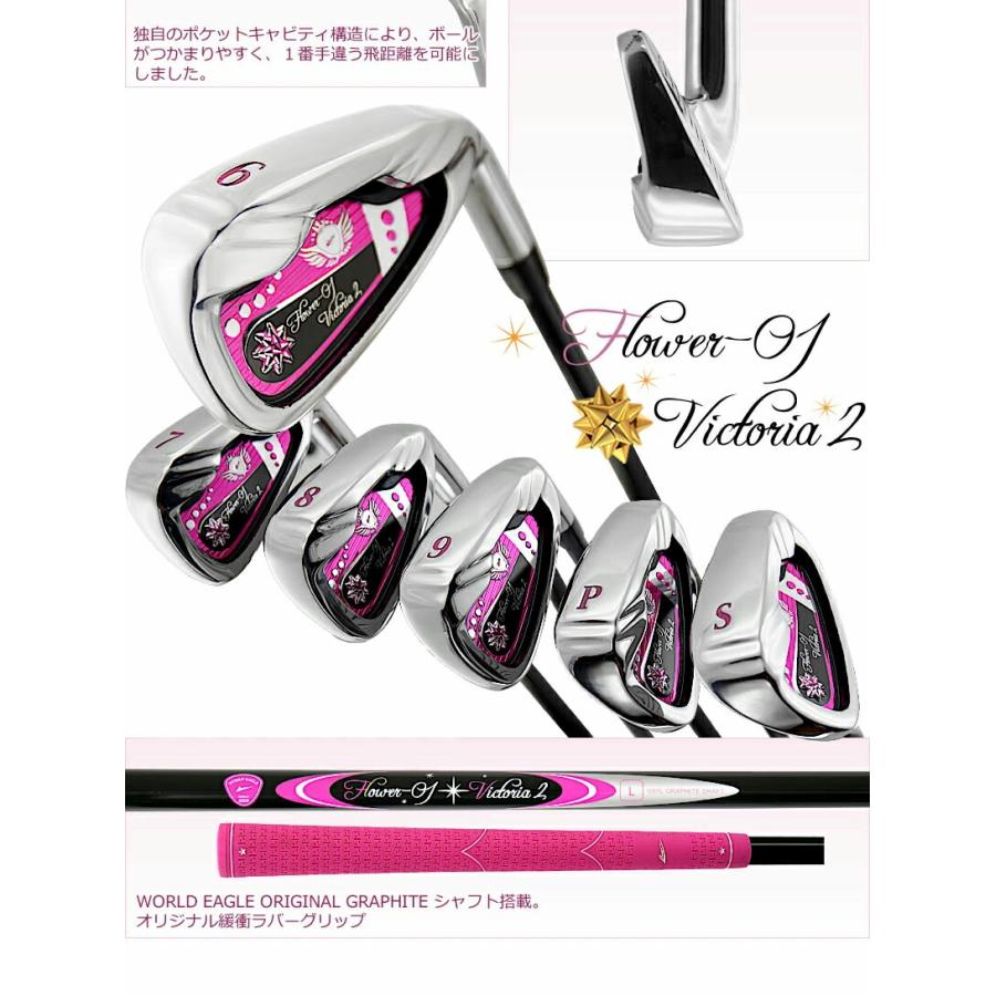 WORLD EAGLE FL-01V2 L レディースゴルフクラブセット ワールドイーグル FL-01☆V2 レディース 12点（10本）クラブセット