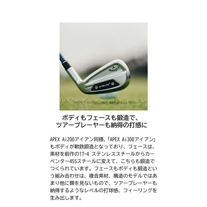 キャロウェイ APEX Ai 300 6本セット6S レフティ NS PRO 750GH neo