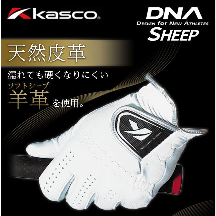 送料無料！5枚セット キャスコ ゴルフ DNA SHEEP 羊革 グローブ