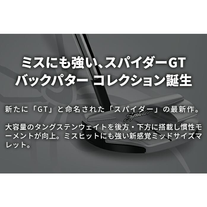 TaylorMade（テーラーメイド） ゴルフ パター Spider GT NOTCHBACK