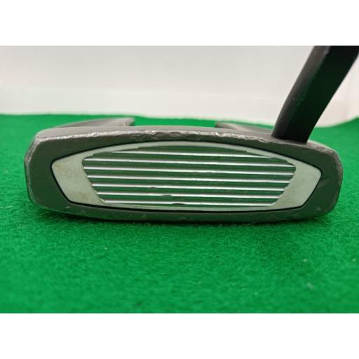 TaylorMade（テーラーメイド） Spider SR PLATINUM/WHITE シングル