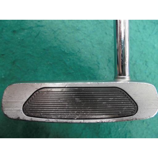 色ナビ テーラーメイド TPコレクション バーウィック マレット パター