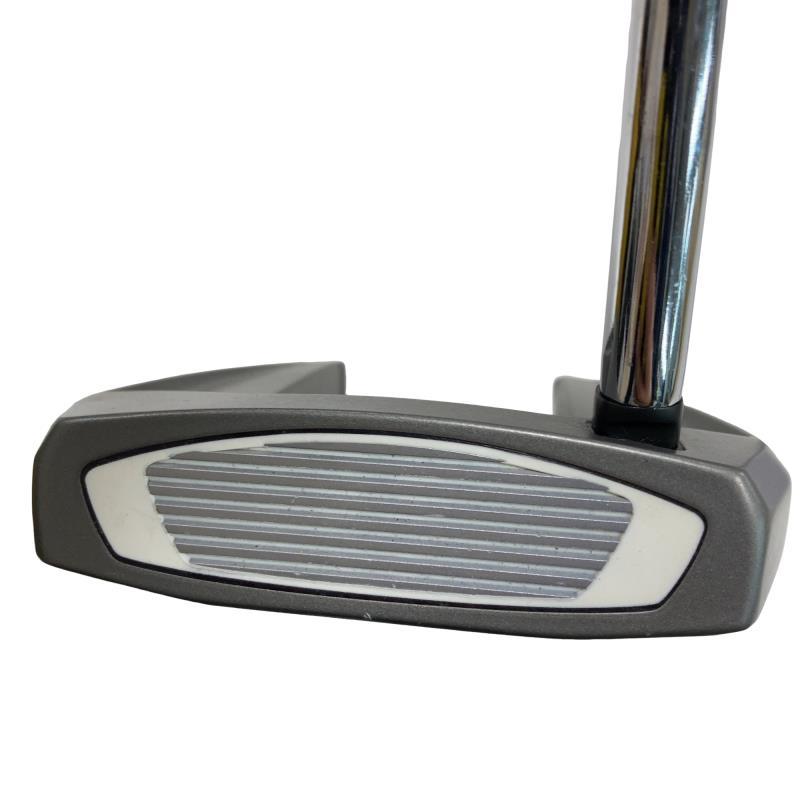 TaylorMade（テーラーメイド） Spider SR PLATINUM/WHITE シングル