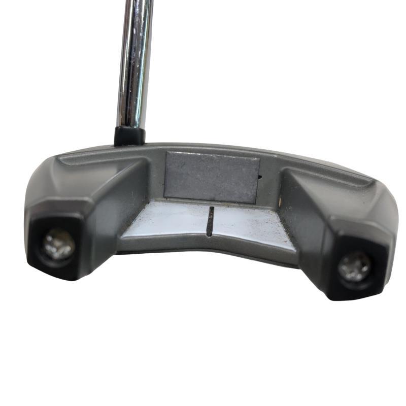 TaylorMade（テーラーメイド） Spider SR PLATINUM/WHITE シングル