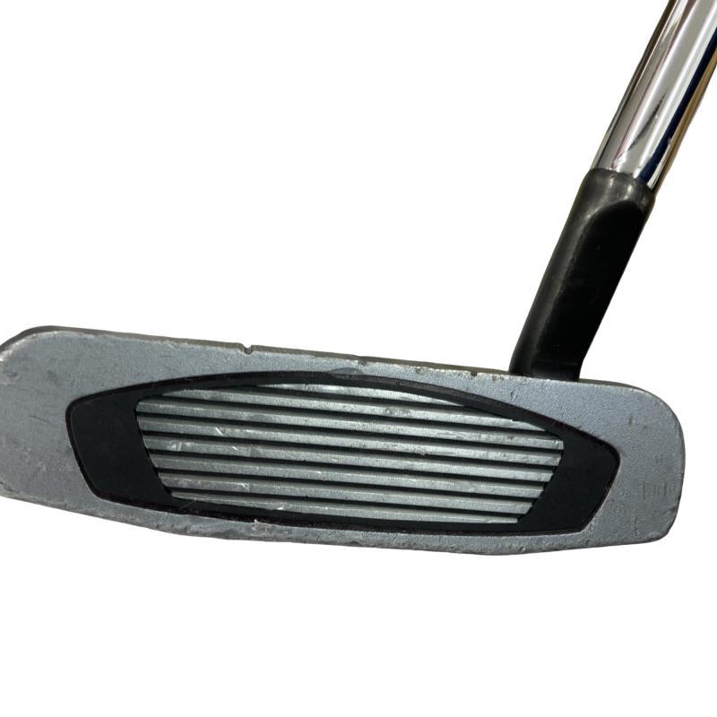 TaylorMade（テーラーメイド） Spider GT ROLLBACK SILVER スモール