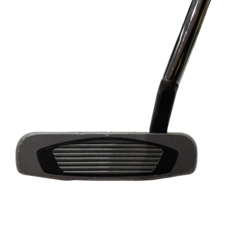 TaylorMade（テーラーメイド） Spider GT NOTCHBACK スモールスラント