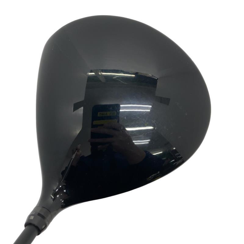 ゴルフパートナー NEXGEN NS250 10.5° ドライバー DR フレックスその他