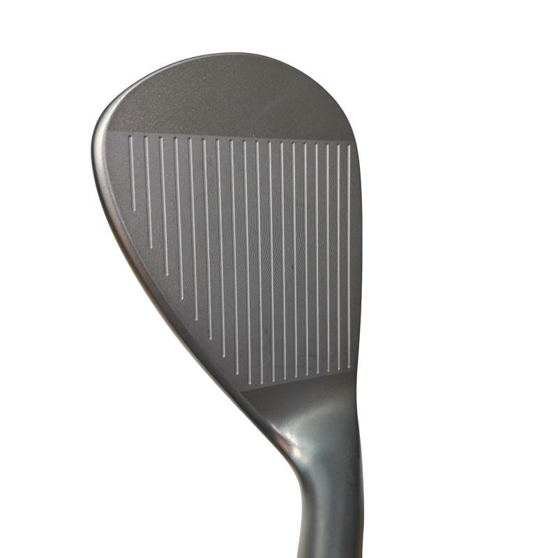 kasco（キャスコ） Dolphin Wedge DW-123 シルバー 50° レフティ