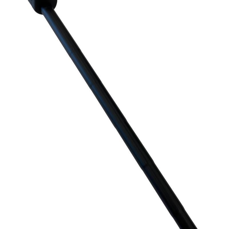 L.A.B.GOLF L.A.B.GOLF Directed Force 2.1(BLACK) 34インチ パター PT フレックスその他の画像