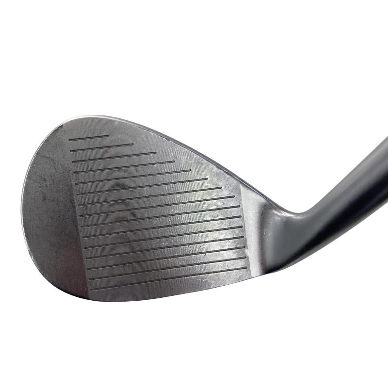 kasco（キャスコ） Dolphin Wedge DW-113 48° ウェッジ WG フレックスS