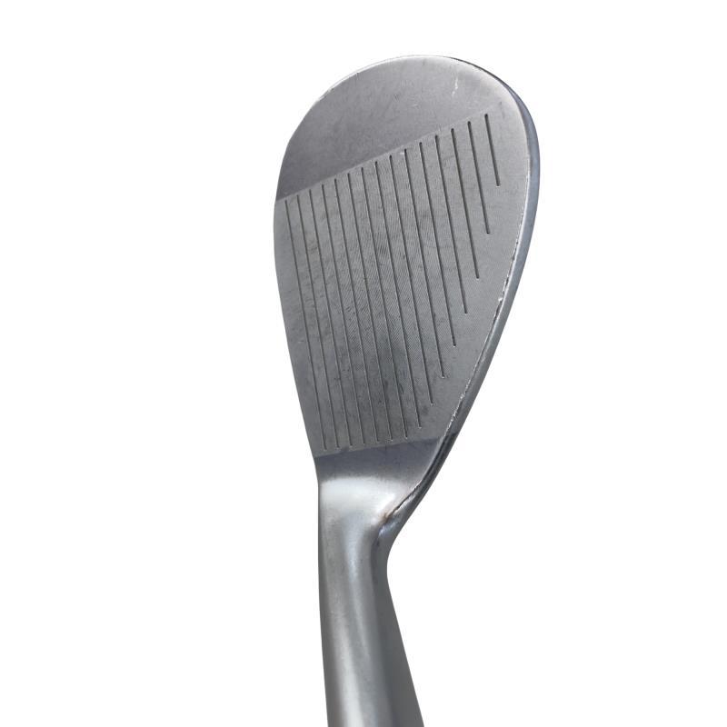 kasco（キャスコ） Dolphin Wedge DW-113 48° ウェッジ WG フレックスS
