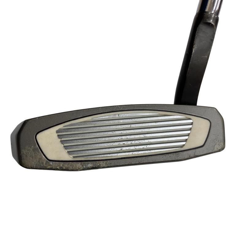 TaylorMade（テーラーメイド） Spider SR PLATINUM/WHITE フローネック