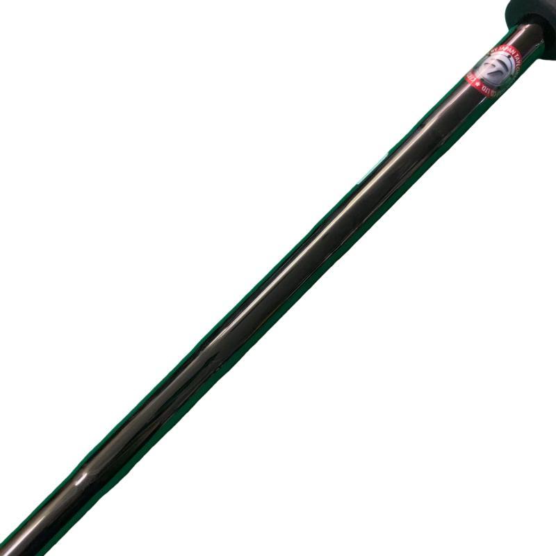 TaylorMade（テーラーメイド） Spider GT BLACK TM1 33インチ パター