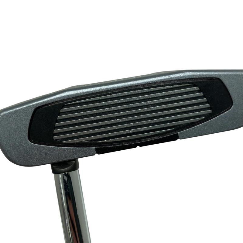 TaylorMade（テーラーメイド） Spider GT ROLLBACK SILVER/BLACK