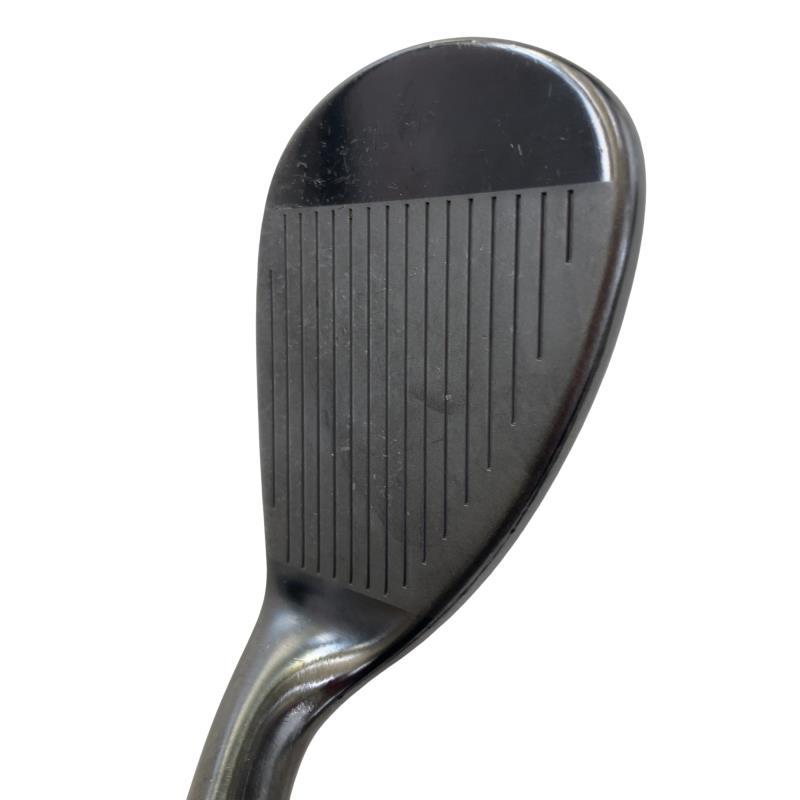 kasco（キャスコ） Dolphin wedge DW-JPFG 51° ウェッジ WG フレックス