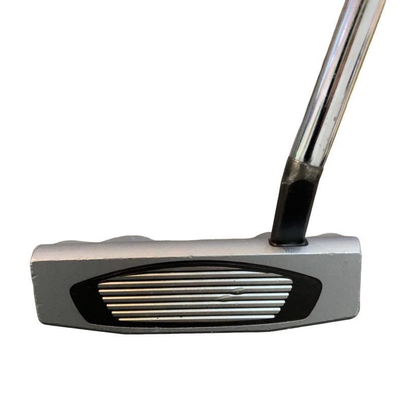 TaylorMade（テーラーメイド） Spider GT NOTCHBACK スモールスラント