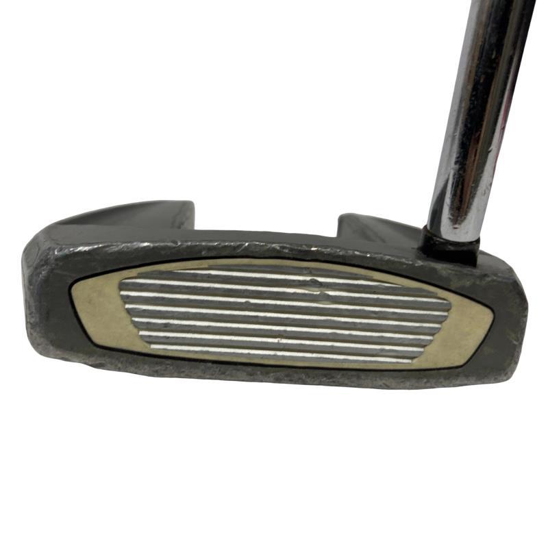 TaylorMade（テーラーメイド） Spider SR PLATINUM/WHITE シングル