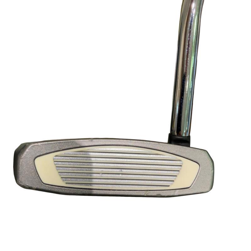 TaylorMade（テーラーメイド） Spider SR PLATINUM/WHITE シングル