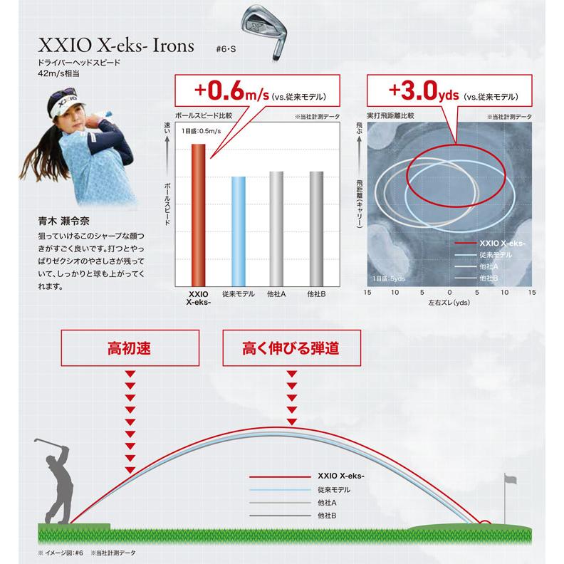 XXIO X ゼクシオ エックス 13 アイアン ダイナミックゴールド95 