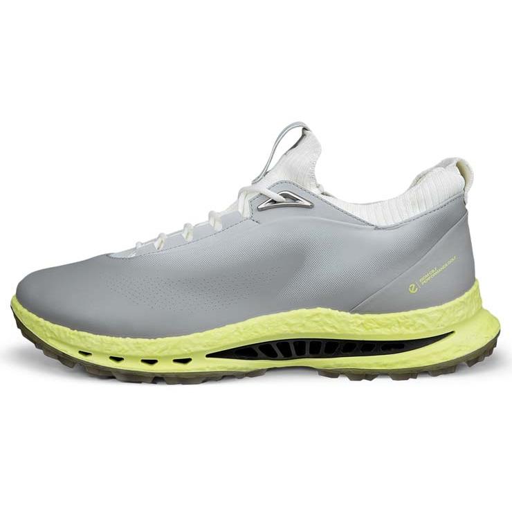 ecco（エコー） BIOM C5 ゴルフシューズ メンズ 132604 カラー